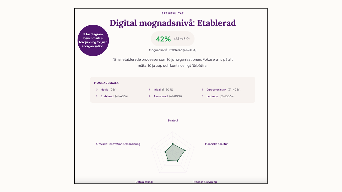 Exempel på resultat från digital mognadsanalys – visar mognadsnivå, procent, mognadsskala och spindeldiagram