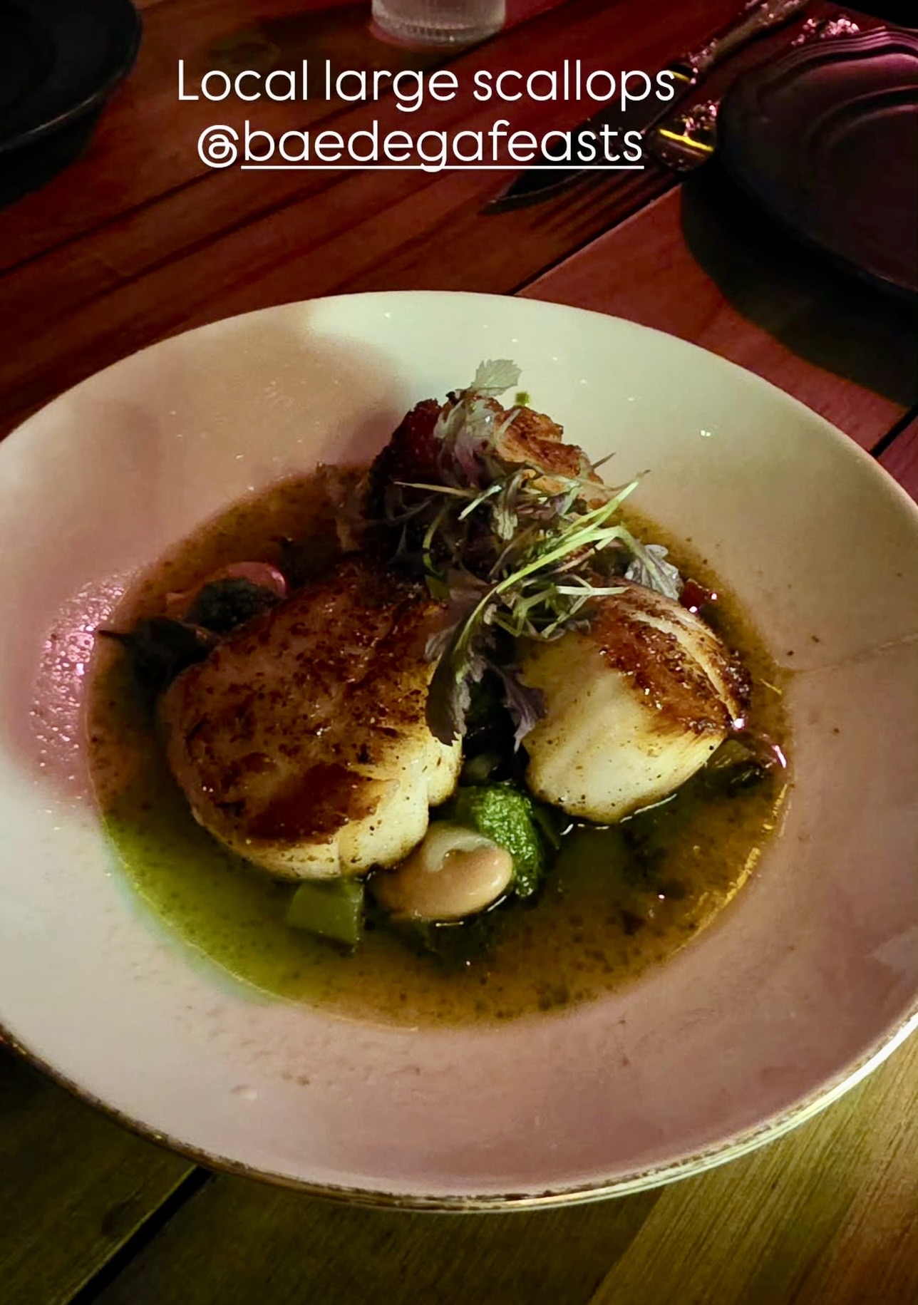 Baedega local large scallops