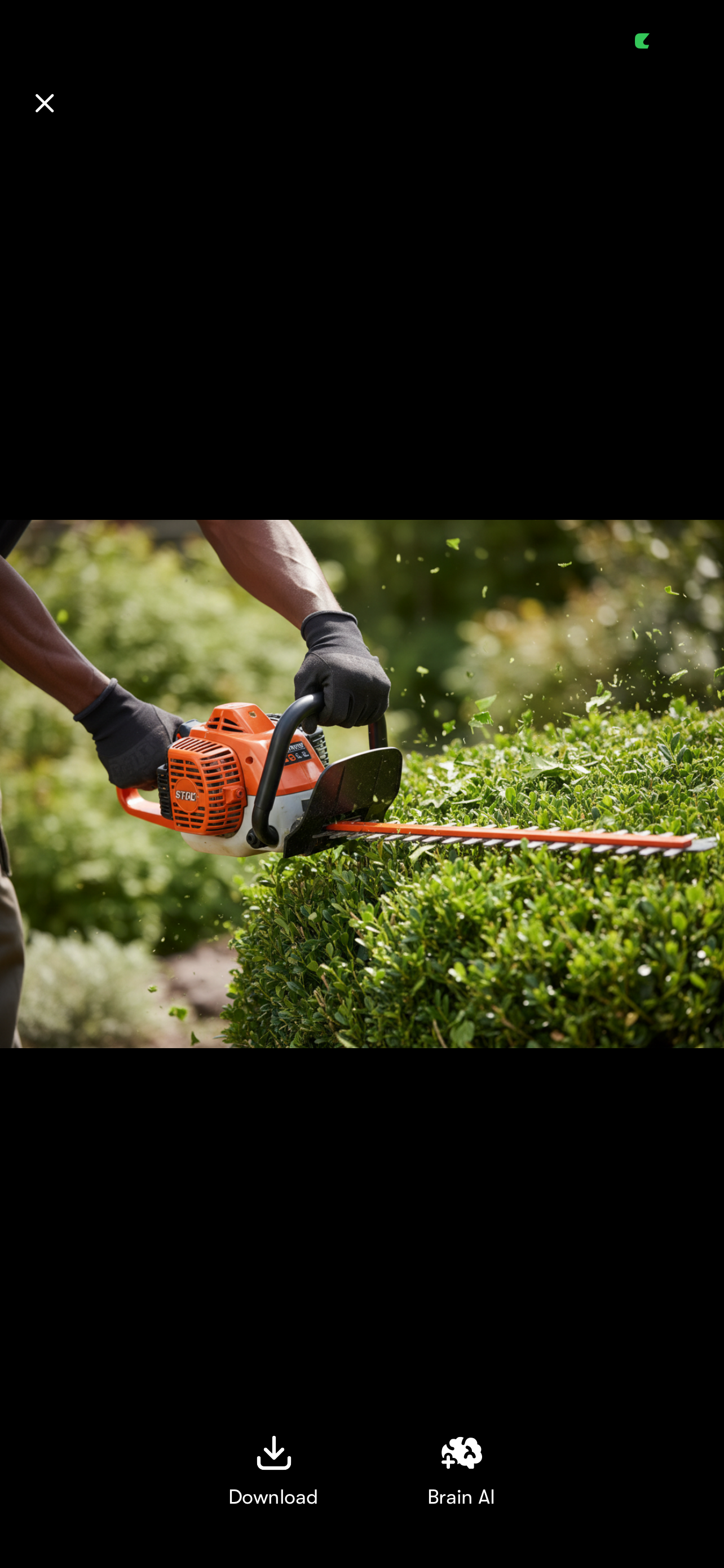 Professional bush and hedge trimming with a Stihl hedge trimmer sending clippings flying