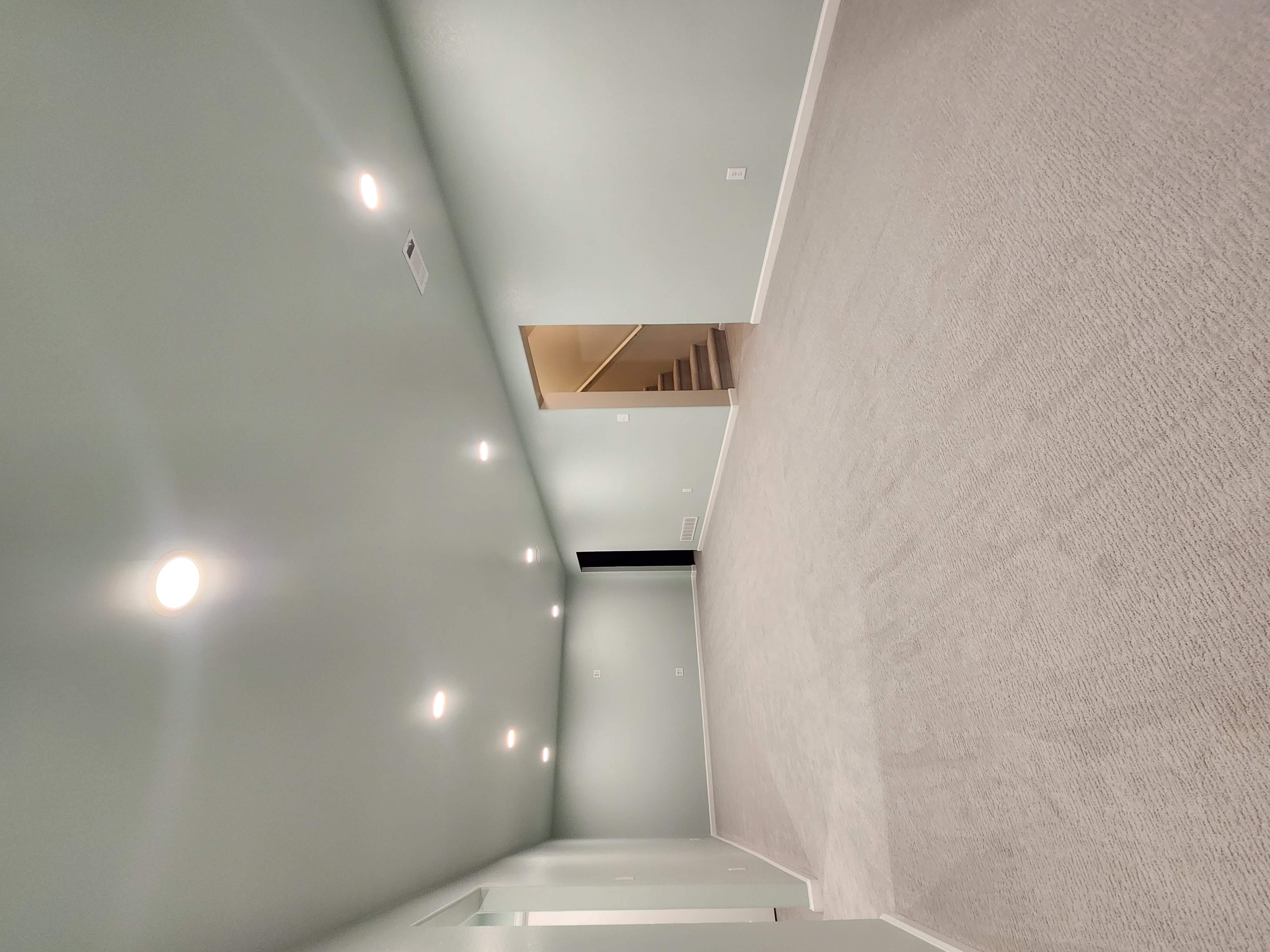 Basement Finish