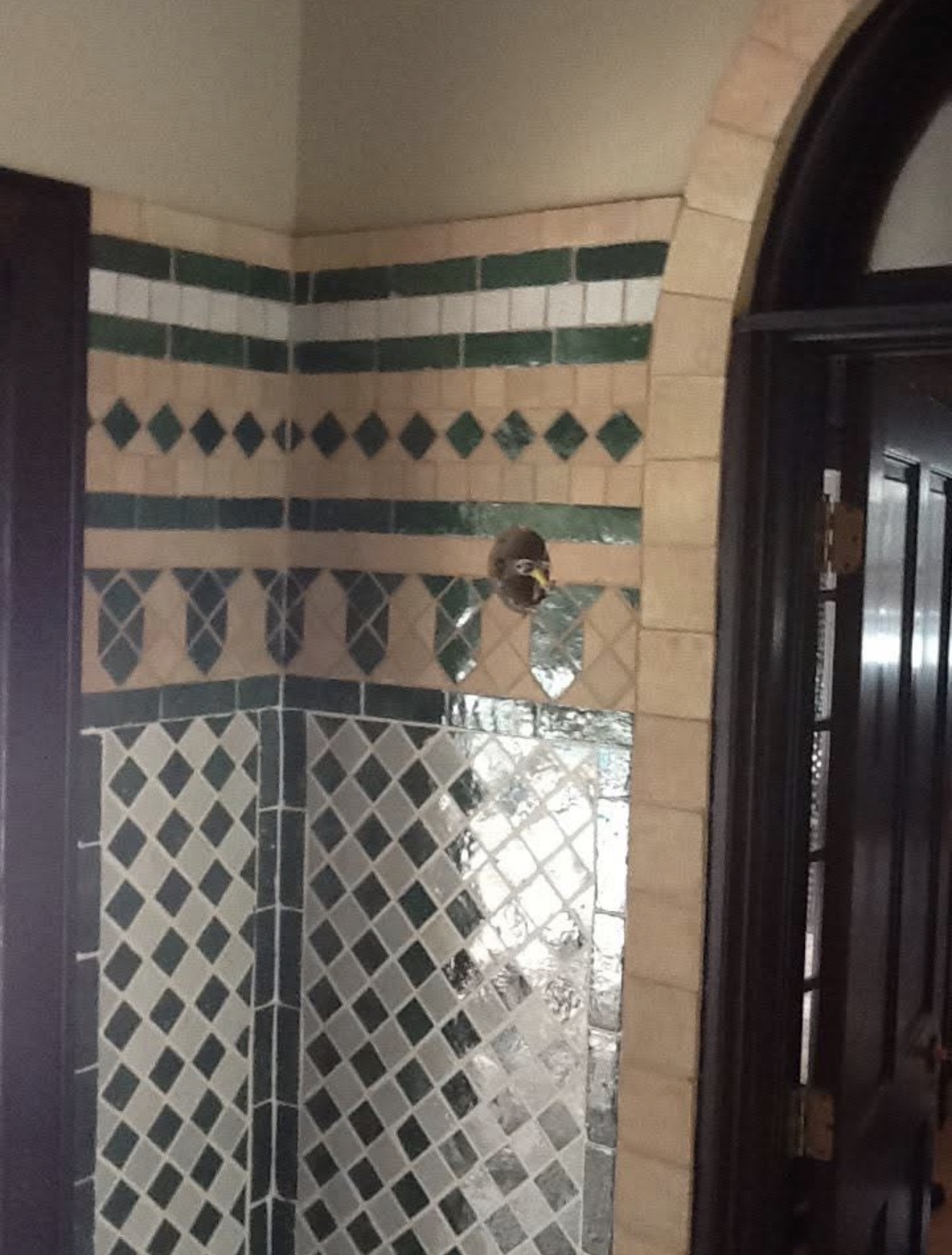Moroccan tile archway at George Steinbrenner estate with LED outdoor lighting fixture installed flush — green diamond pattern tile walls, arched doorway, Davis Islands Tampa