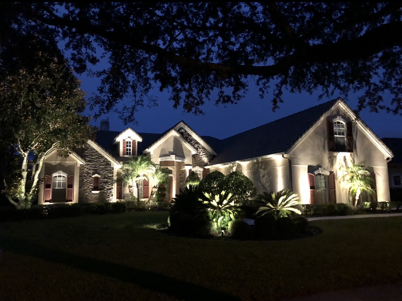 Elegant home with architectural LED lighting and tropical landscaping at night