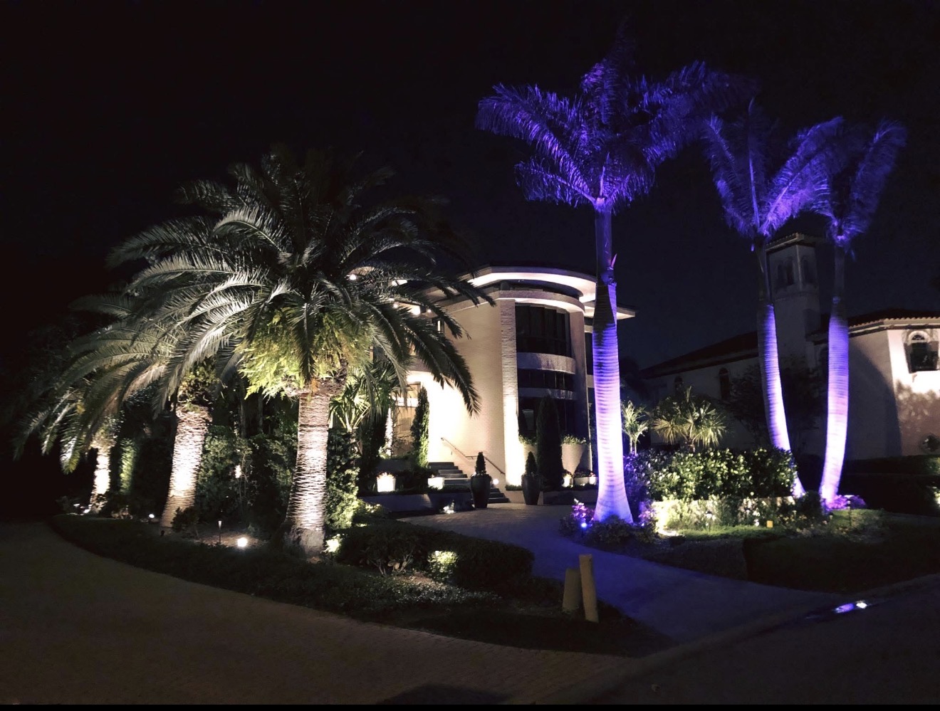 Culbreath Isles South Tampa luxury estate driveway — date palms and royal palms lit with purple blue RGBW uplights and warm white landscape uplights by LED Artistry