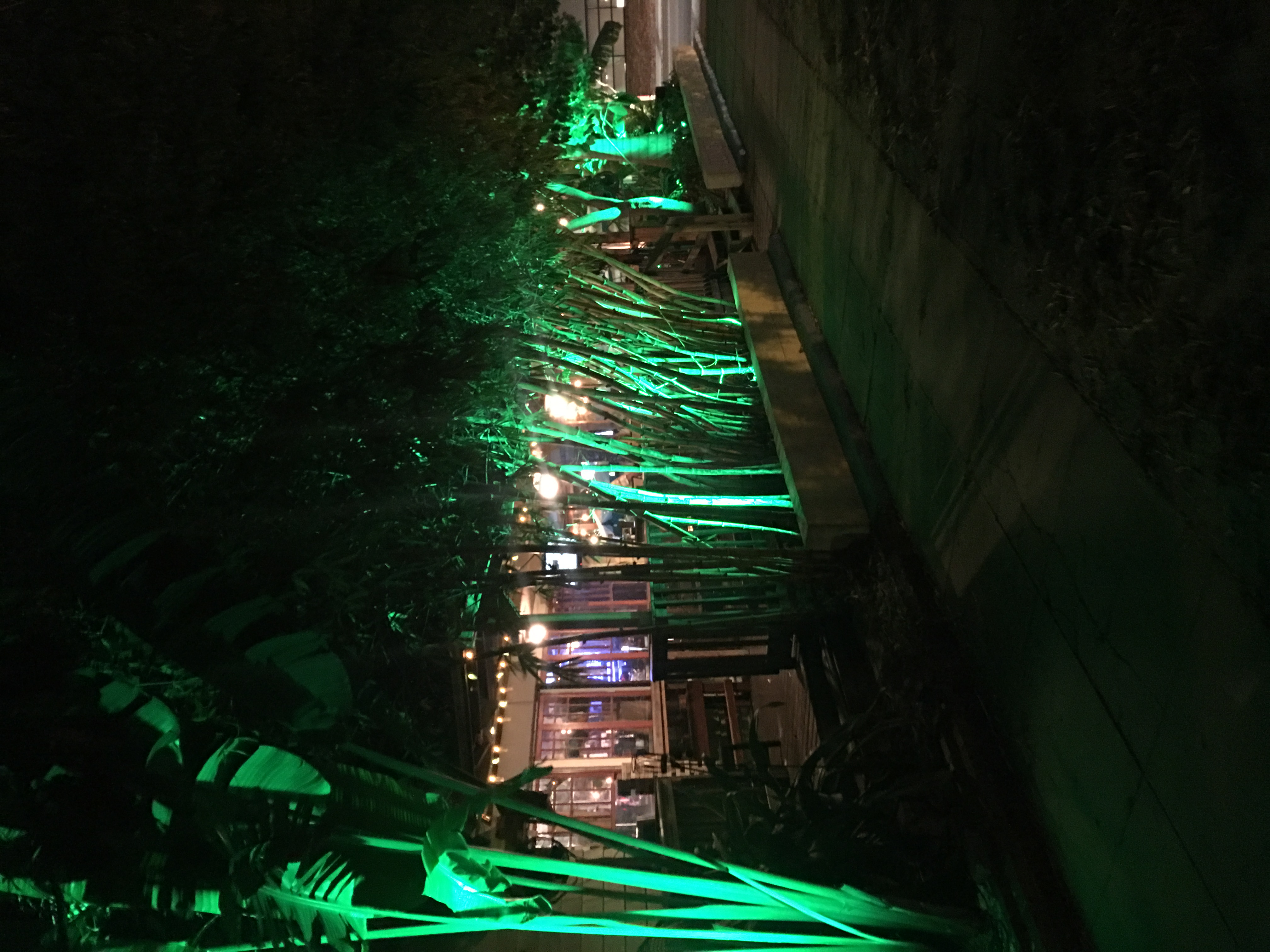 Fresh Kitchen Tampa bamboo garden with green RGBW LED landscape lighting at night