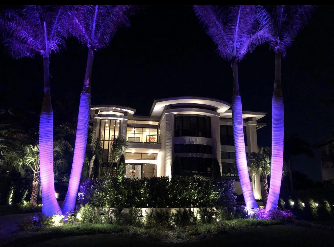 Culbreath Isles South Tampa luxury estate with four royal palm trees lit in RGBW blue and purple by LED Artistry at night