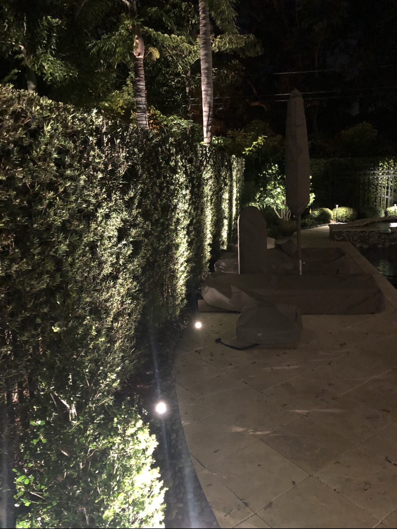 Travertine pool terrace perimeter lighting — fixtures installed in stone surface uplighting hedge wall and palm trees, Tampa Bay waterfront estate by LED Artistry