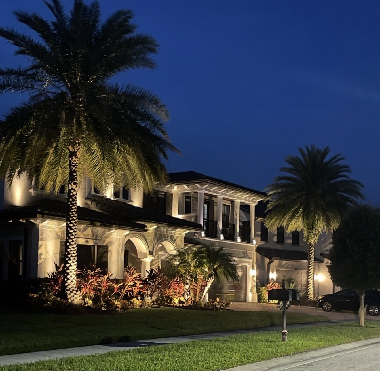 Luxury Tampa Bay mansion with dramatic LED landscape lighting at night