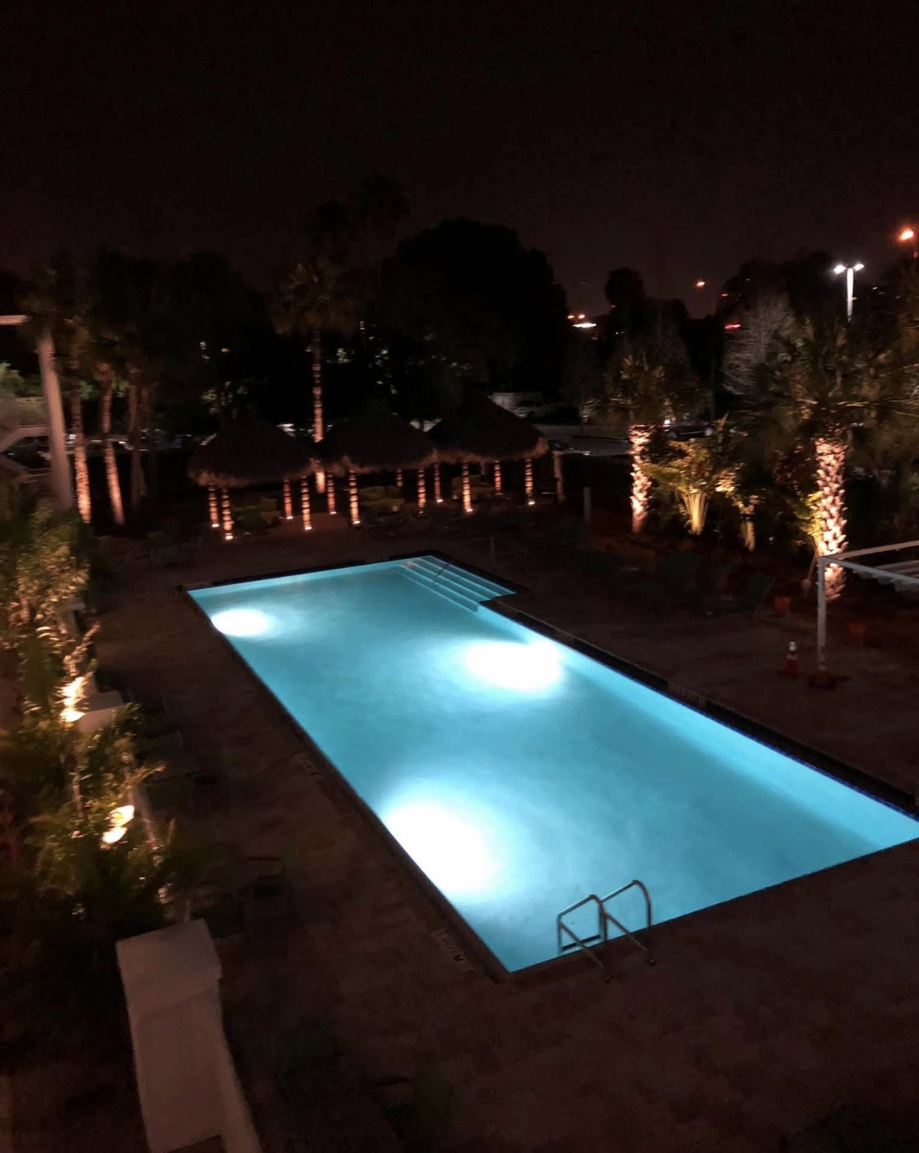 Hotel Alba Tampa pool area at night — warm white palm uplighting around perimeter, illuminated pool water by LED Artistry