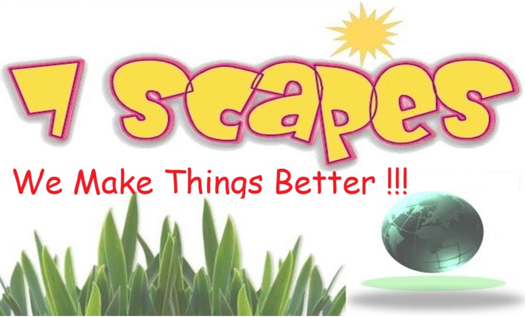 7 Scapes
