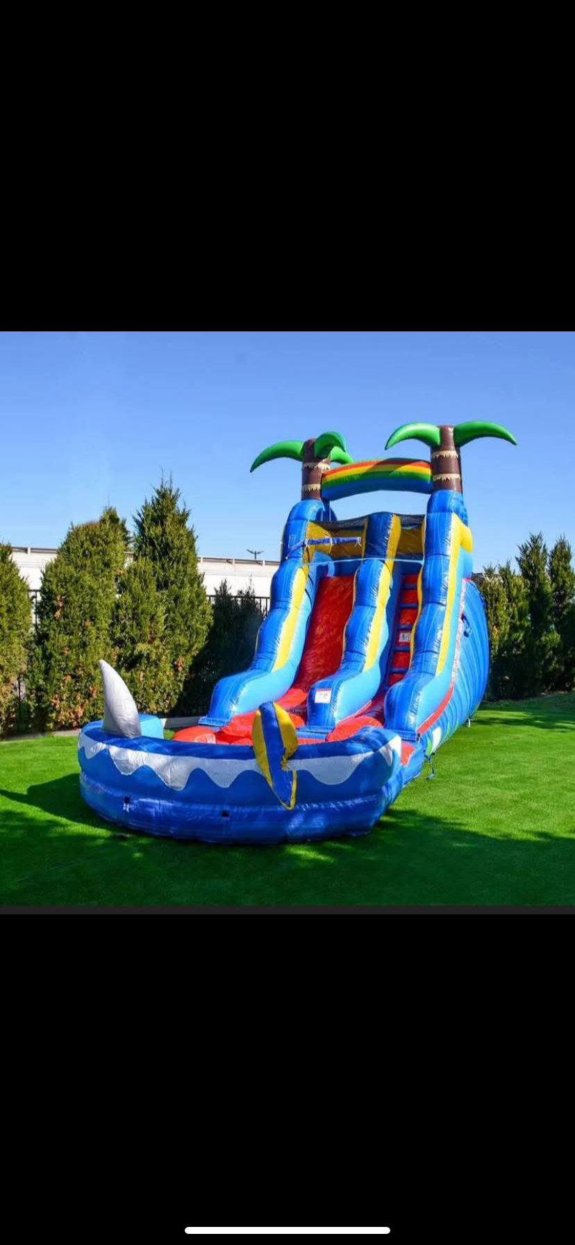 Shark Attack water slide with palm trees and splash pool on green grass
