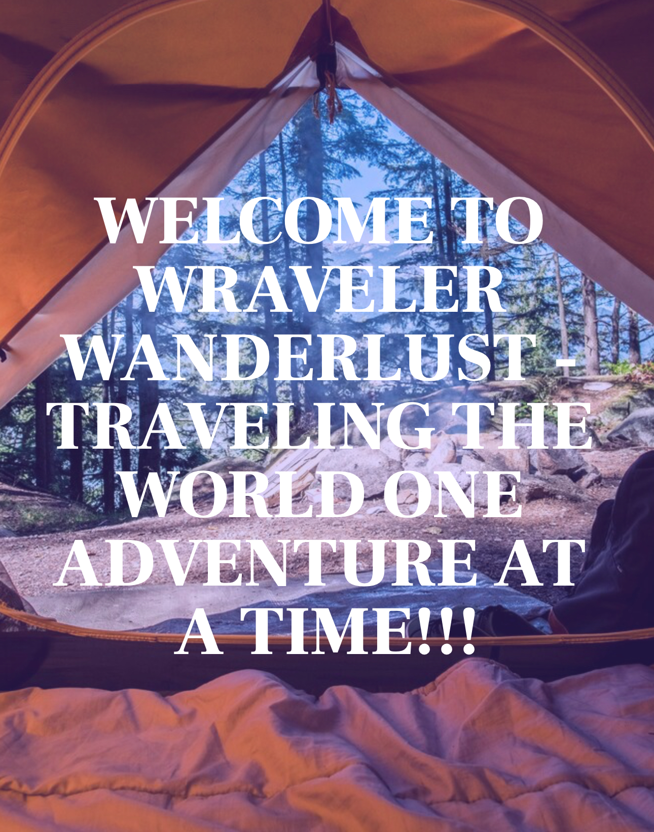 View from tent looking out at forest adventure