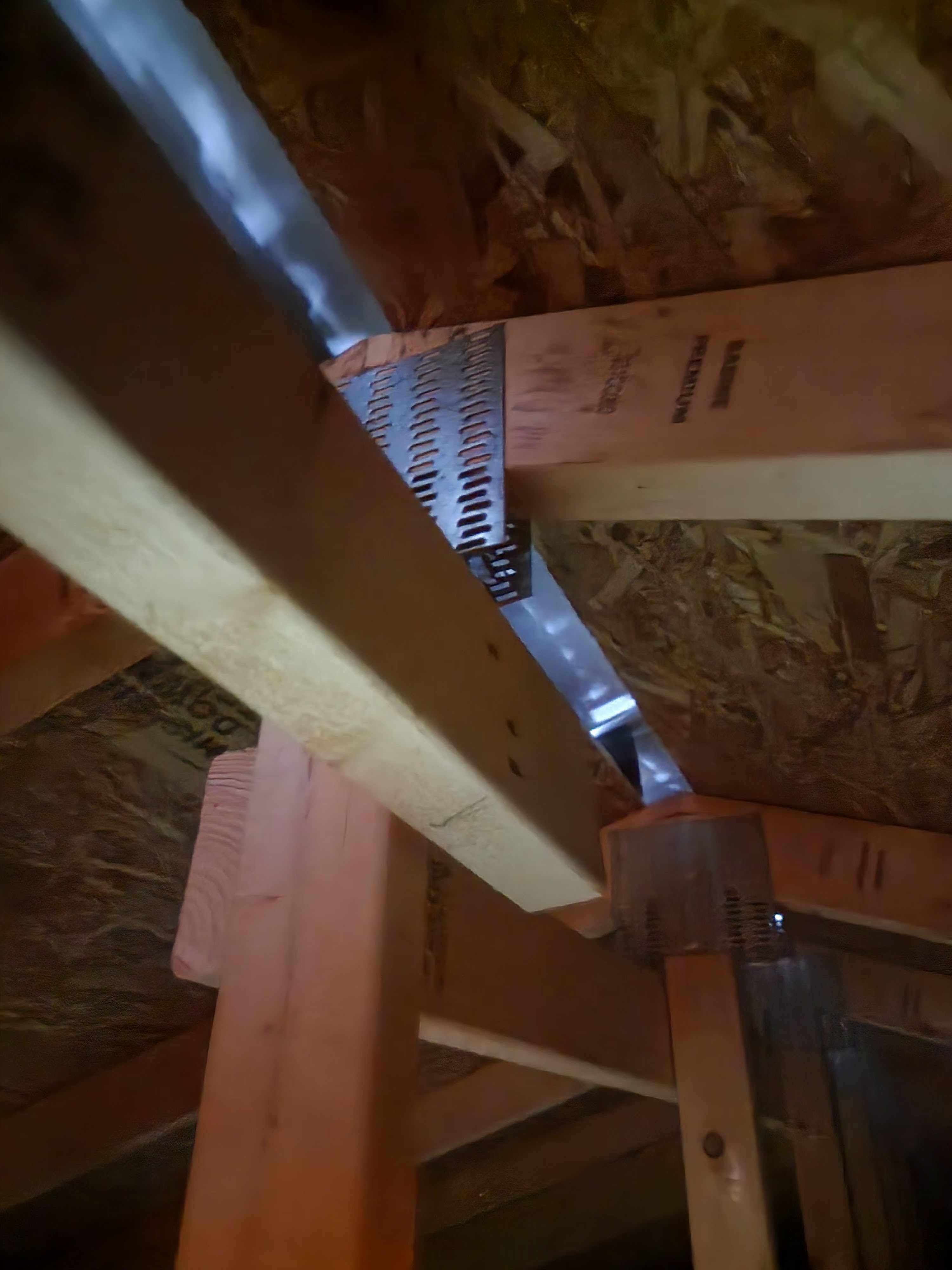 Attic and roofline gaps identified