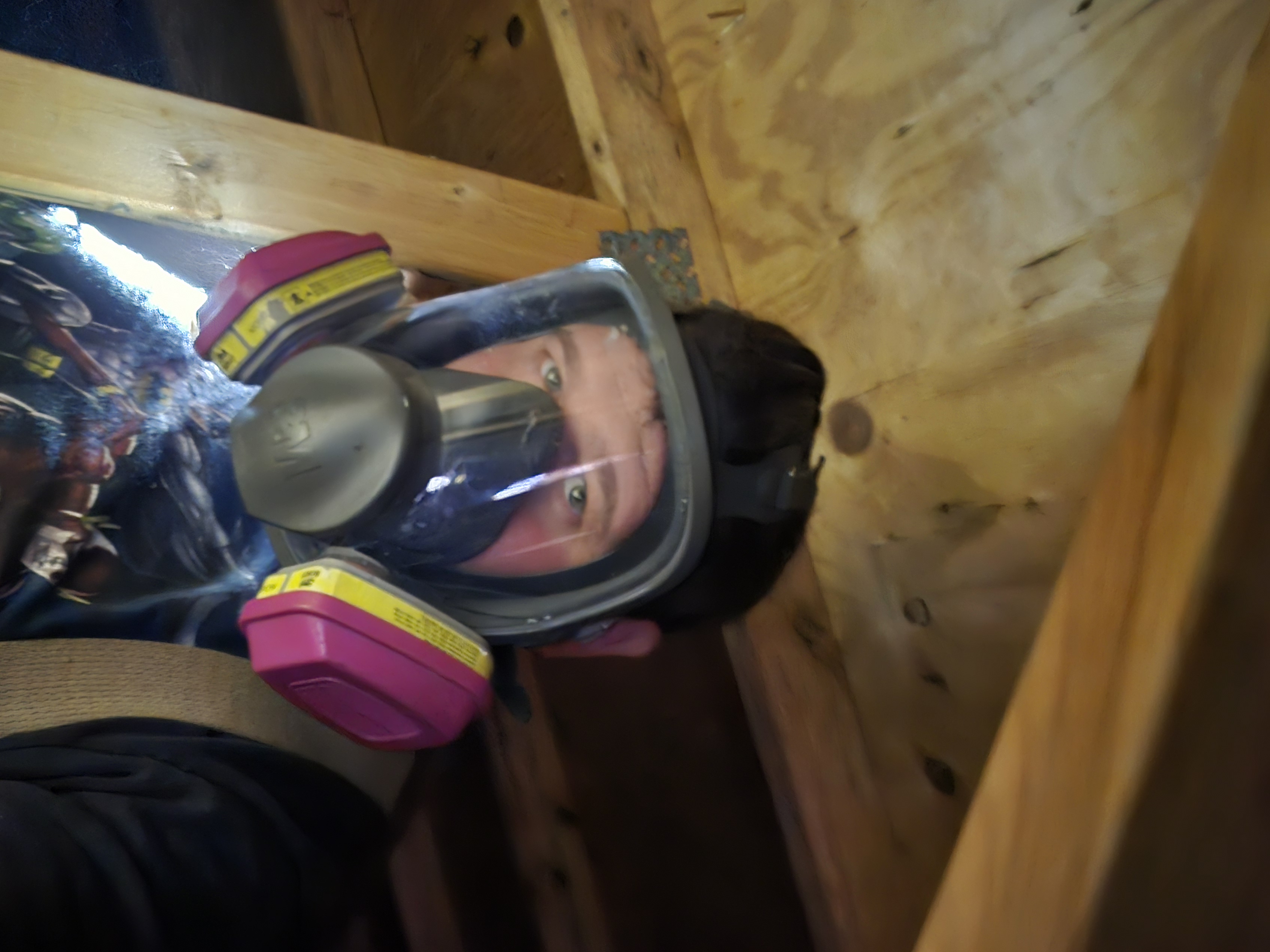 Attic inspection in progress