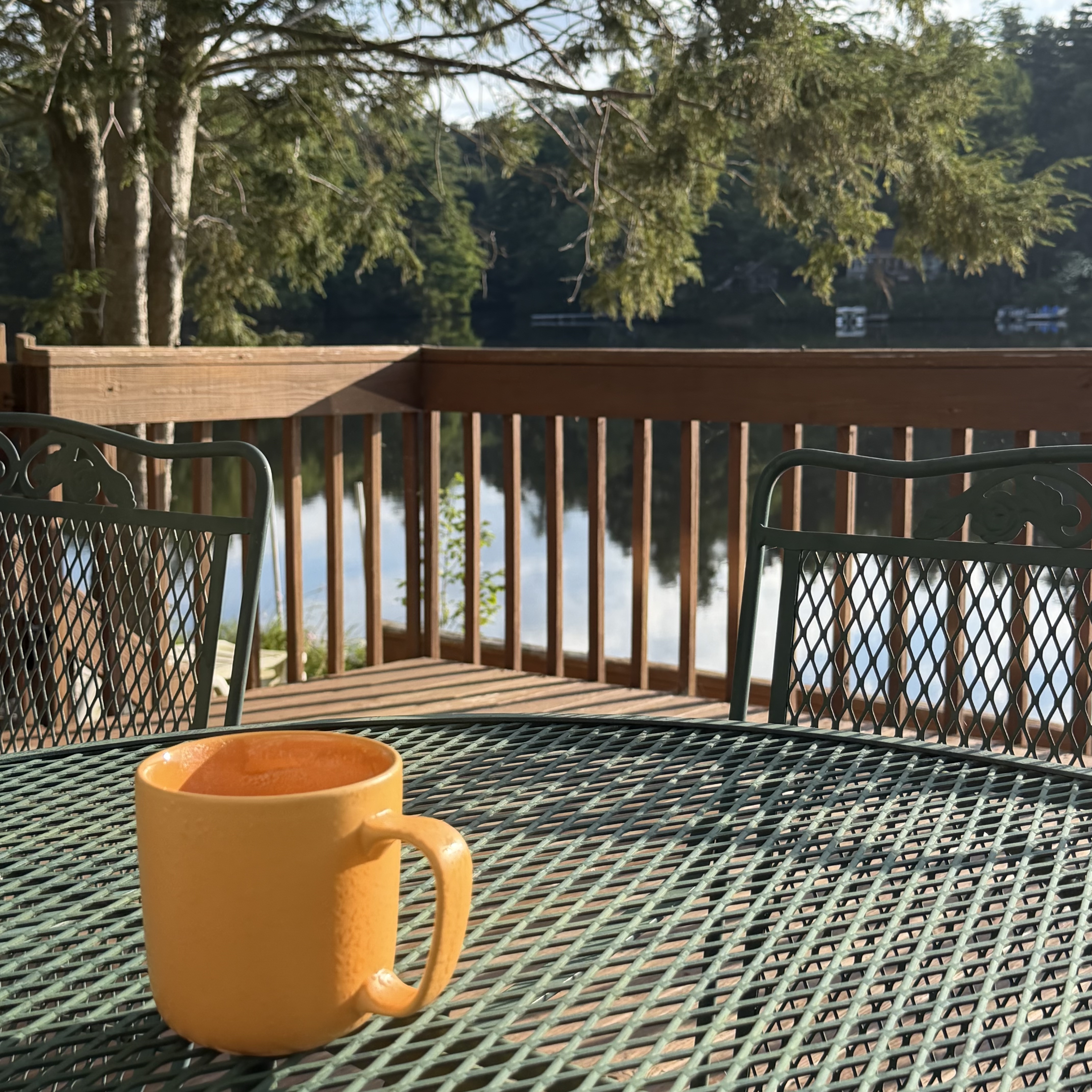 Coffee on deck overlooking lake