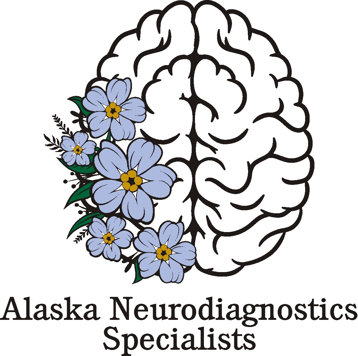 Alaska Neurodiagnostics Specialists