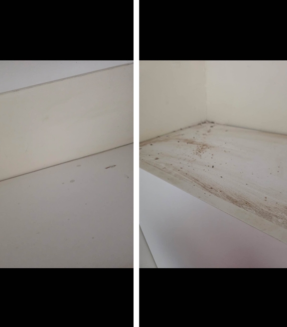 Shelving & Cupboard Clean - After