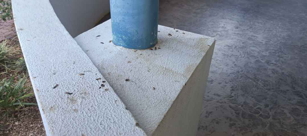 Outdoor Concrete Area - Before