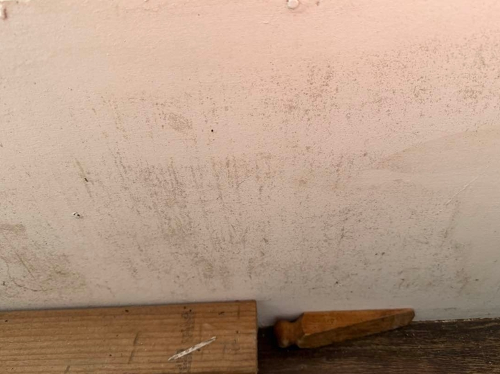 Wall & Skirting Clean - Before