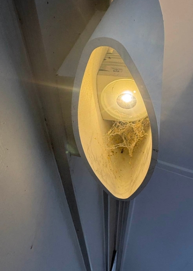 Light Fixture Clean - Before