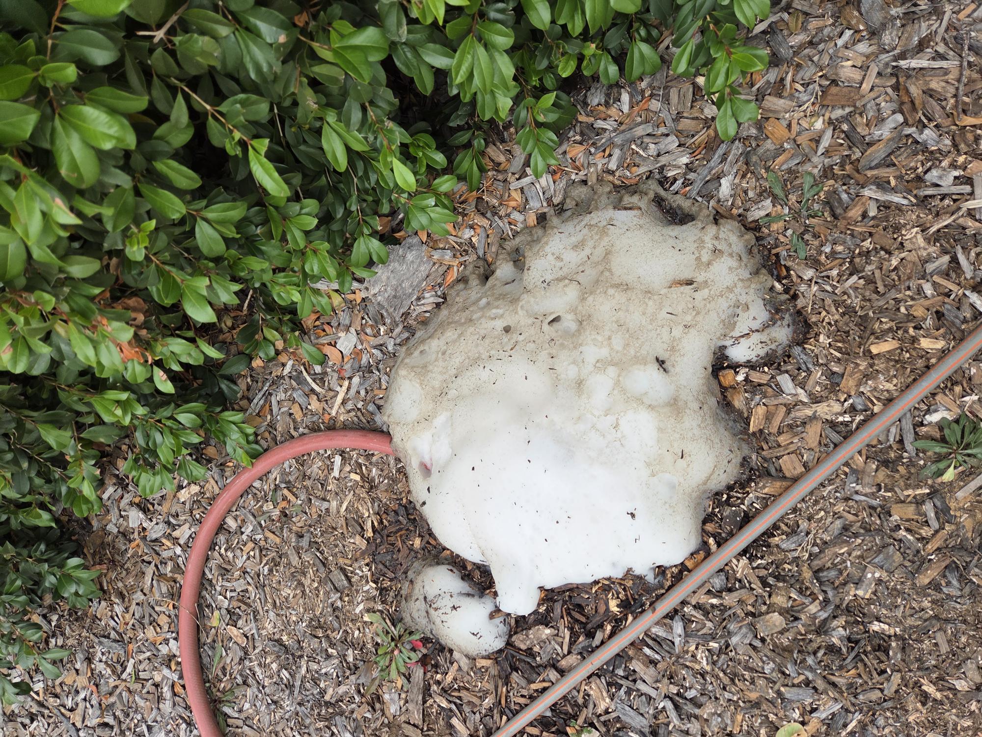 Cleaning solution doing its job