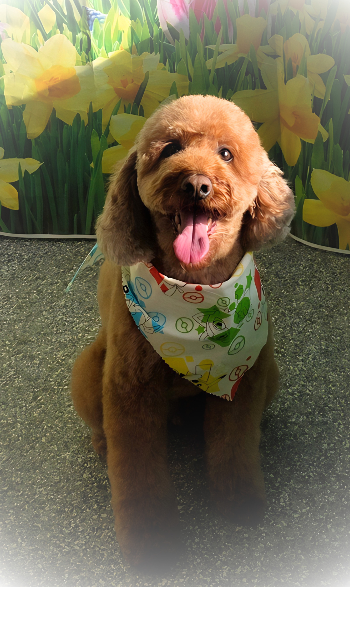 Doodle — Spring vibes & all smiles!