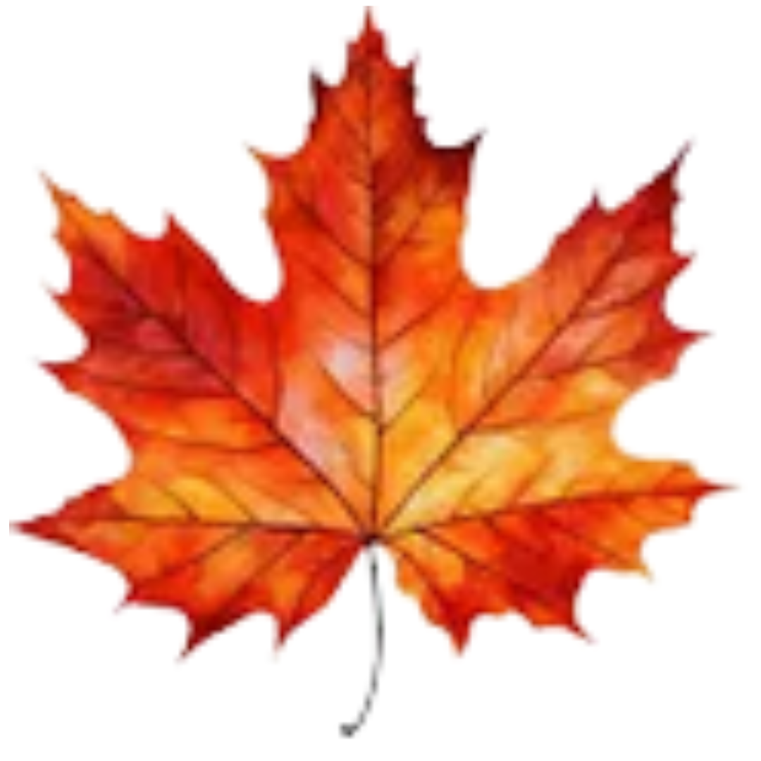 Leaf Cleanup Icon