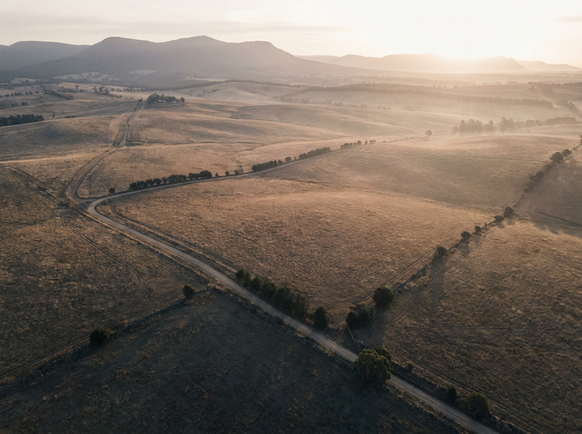 Land Investors