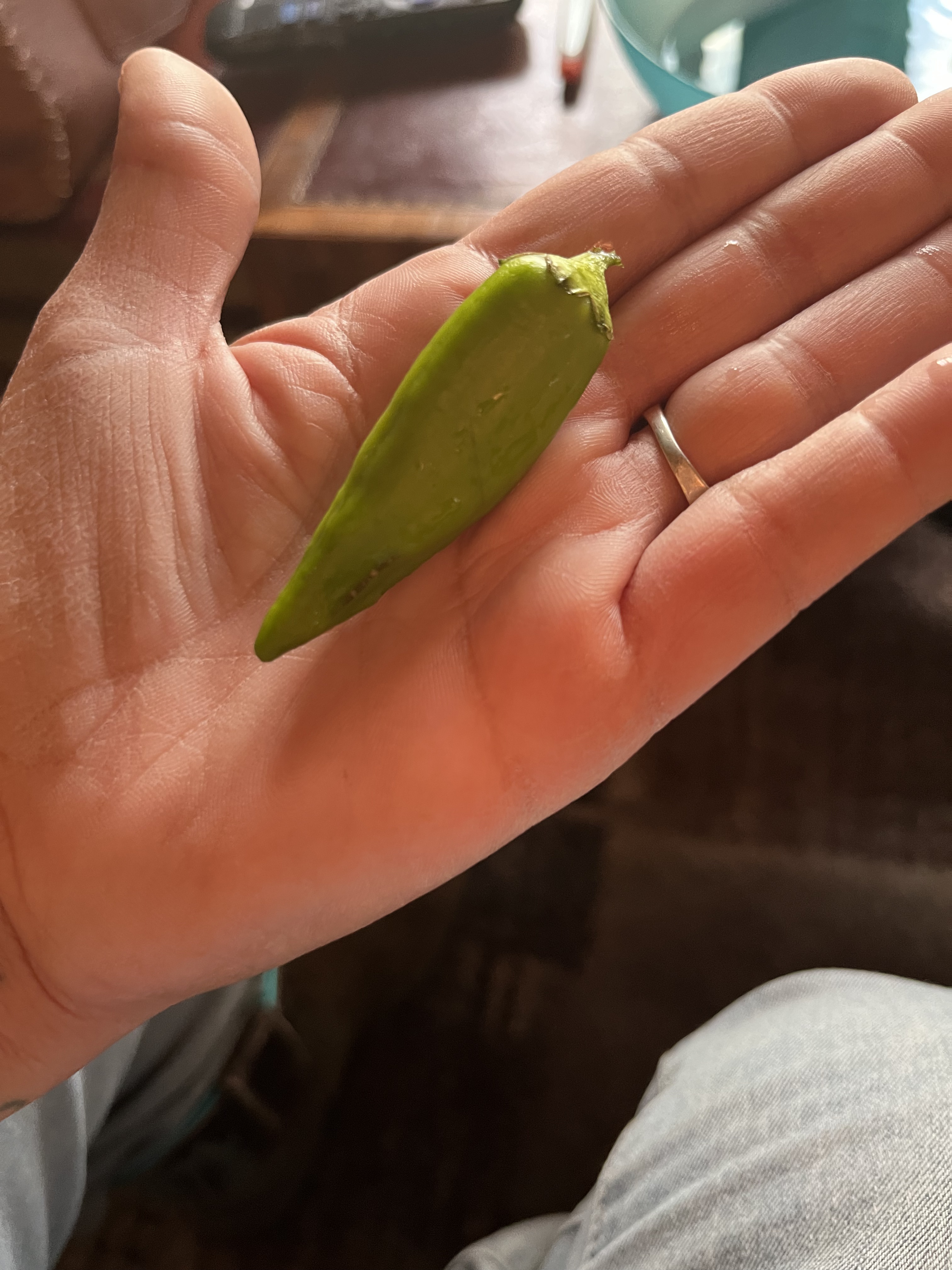 First hot banana pepper harvested from Javon's Legacy Farm