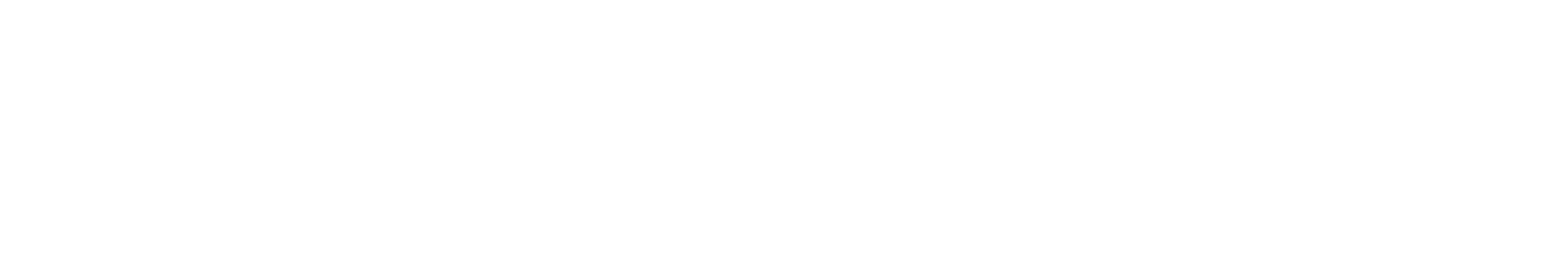 AVPartners logo