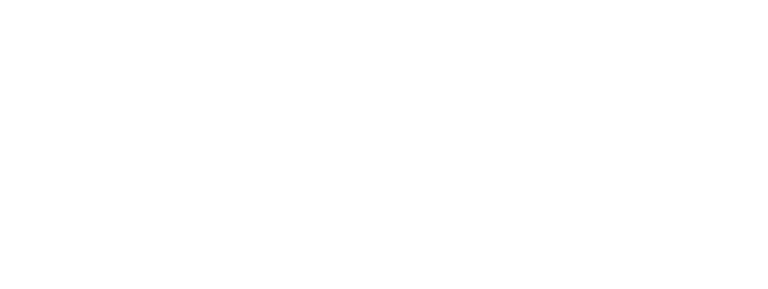 Bramis logo