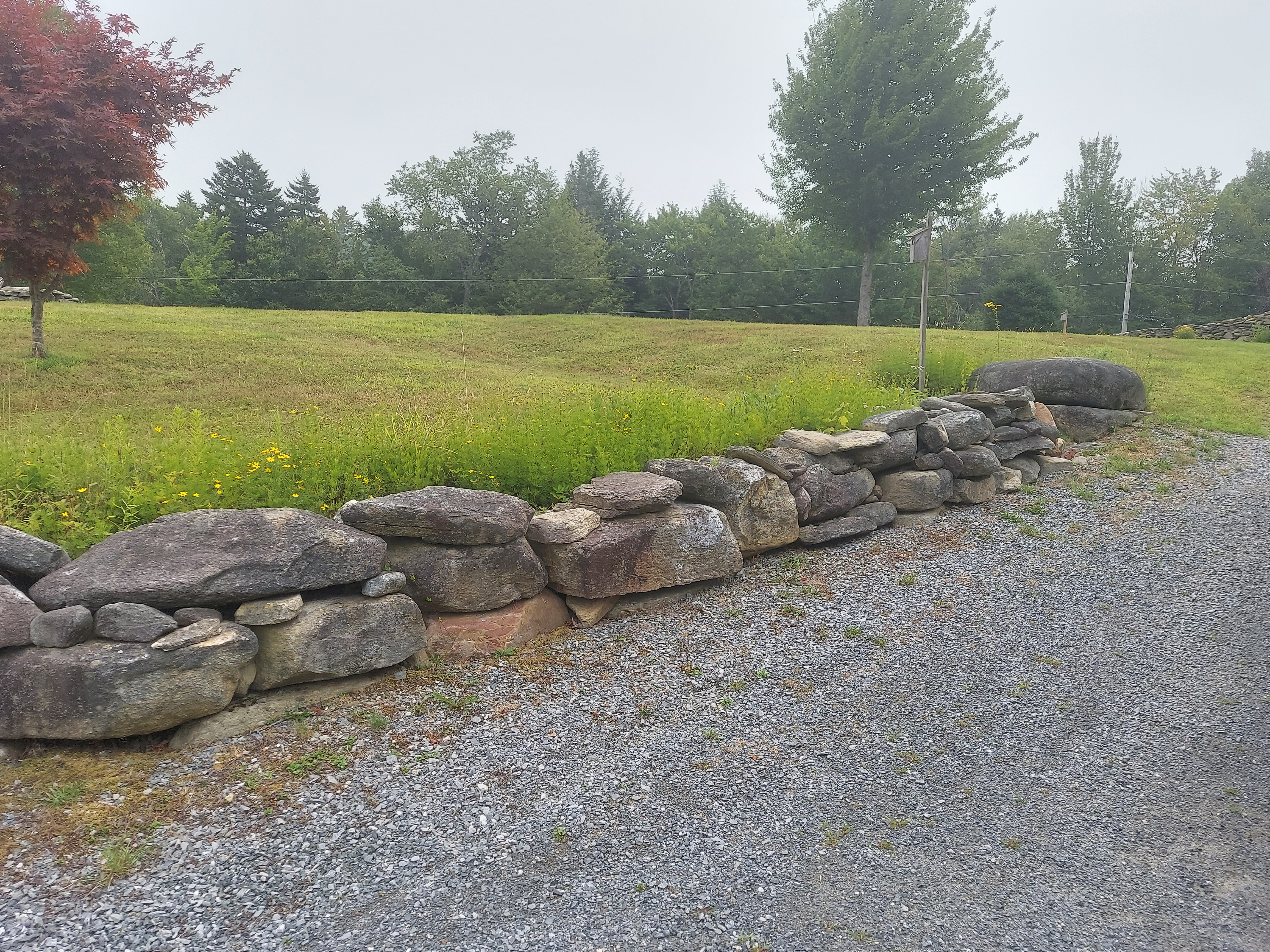 Stone Revitalization "VT Pearls"