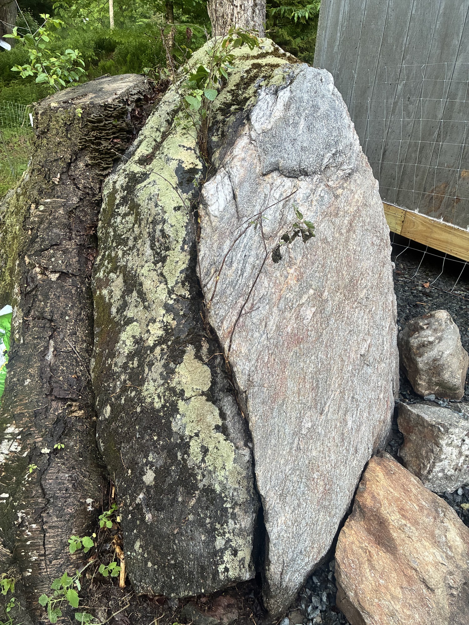 Stone Revitalization "VT Pearls"