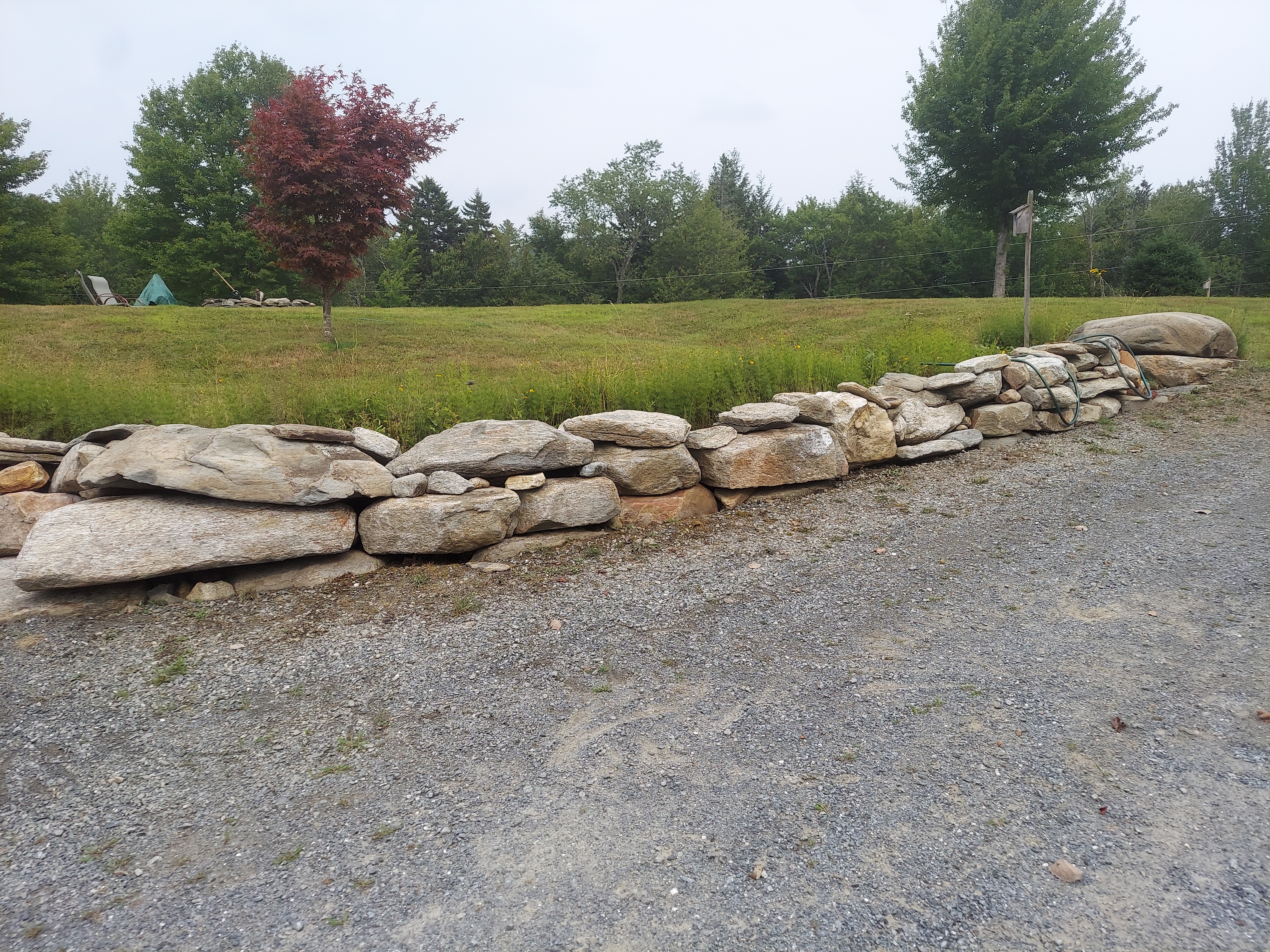 Stone Revitalization "VT Pearls"