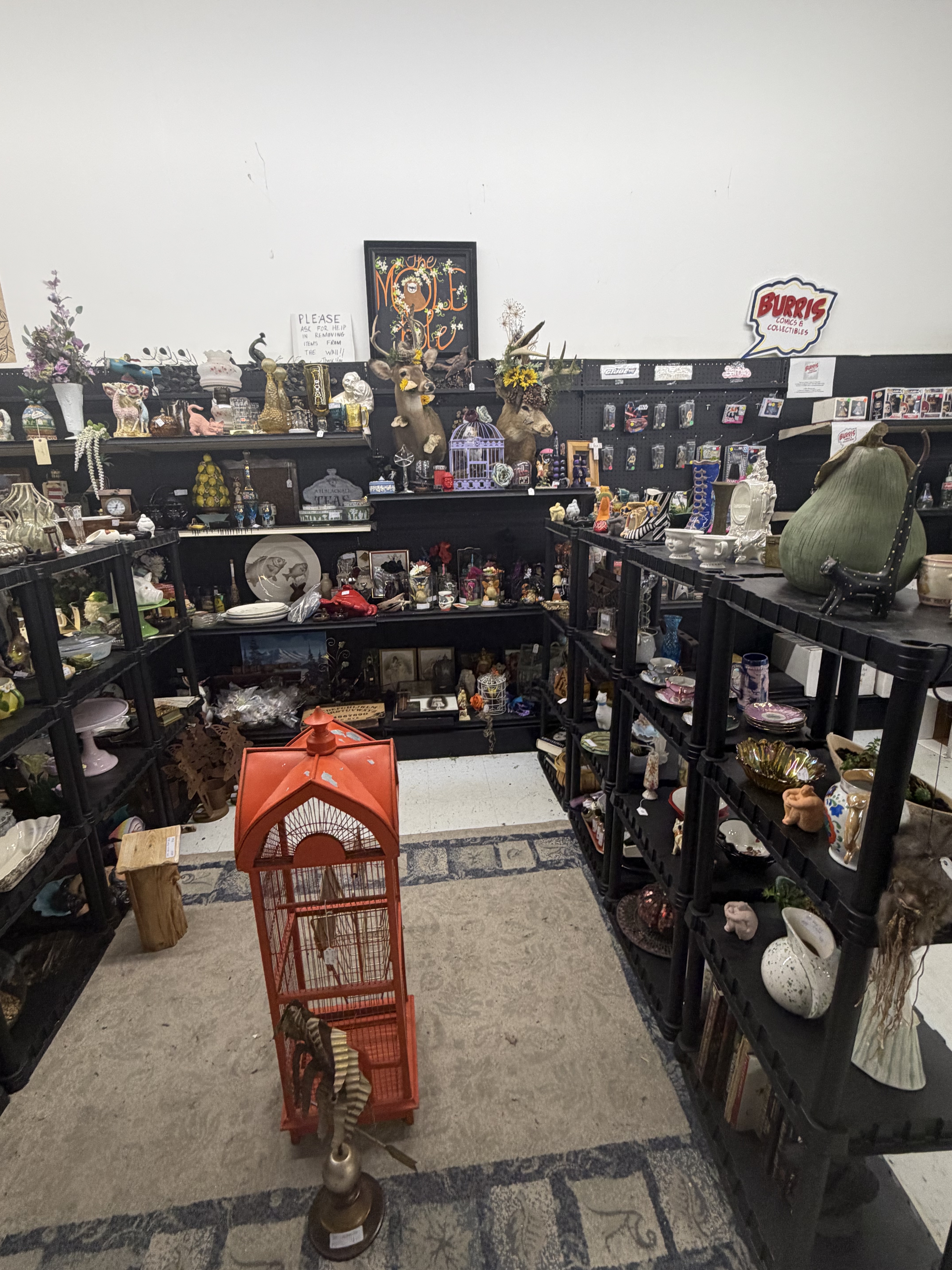 Collectibles and curiosities booth
