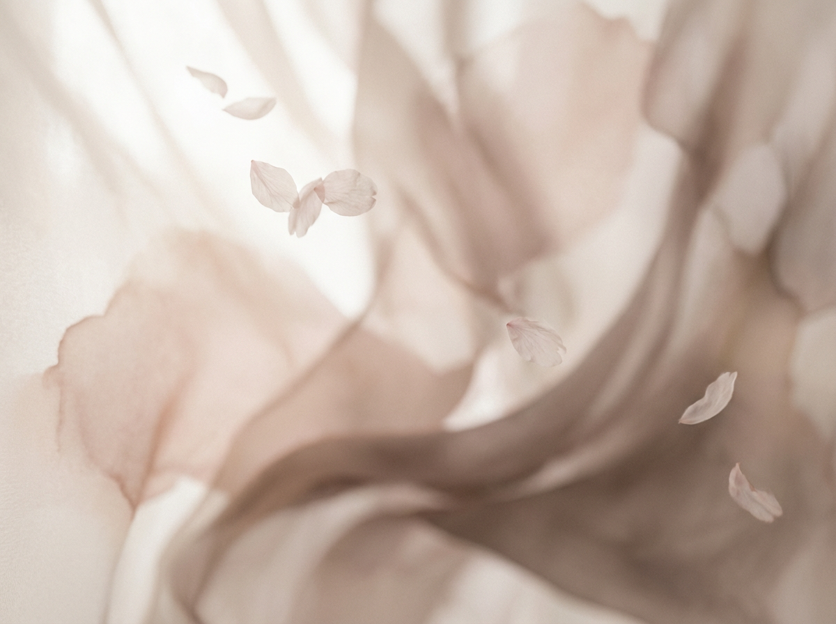Soft flowing petals