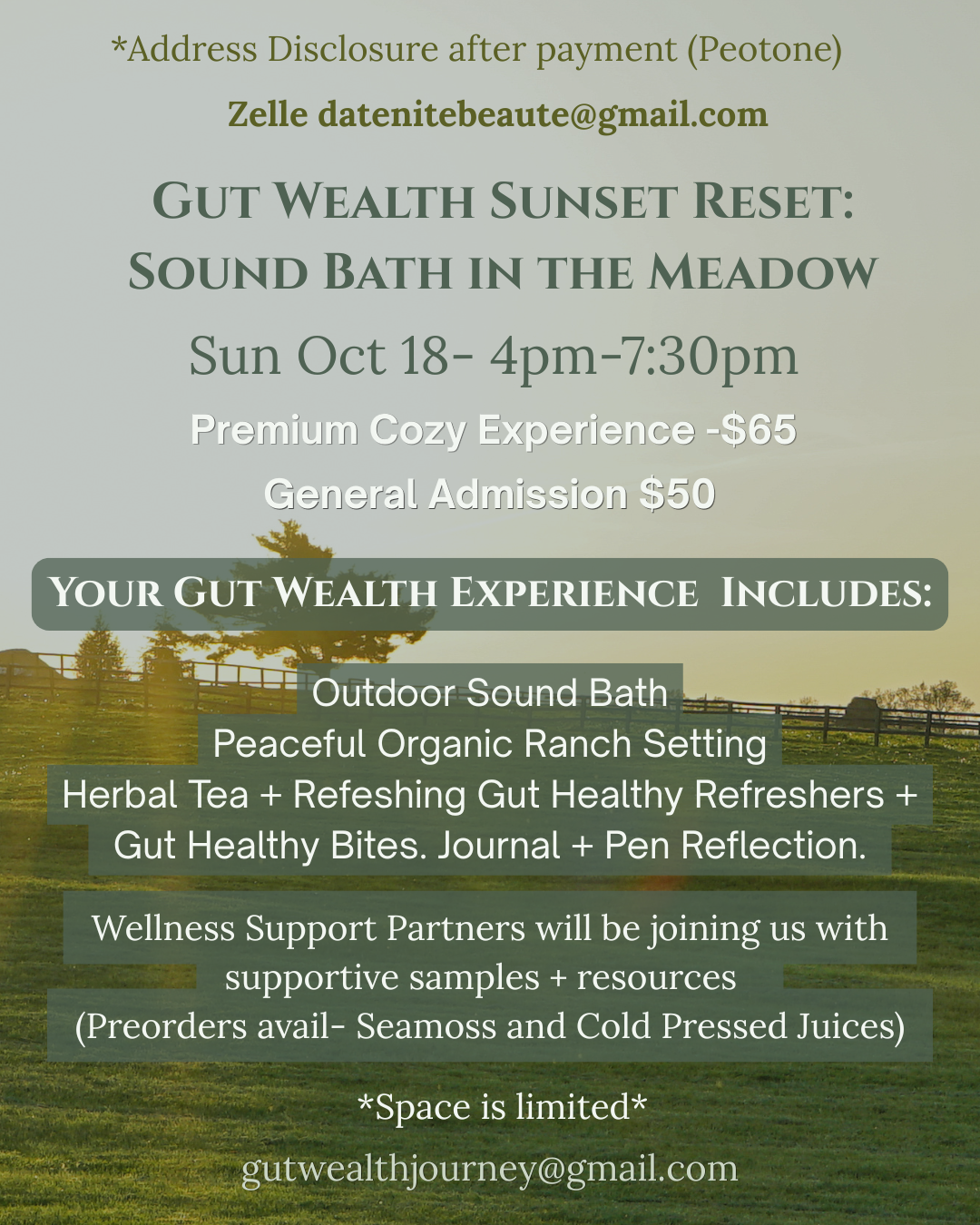 Gut Wealth Sunset Reset: Sound Bath in the Meadow event flyer