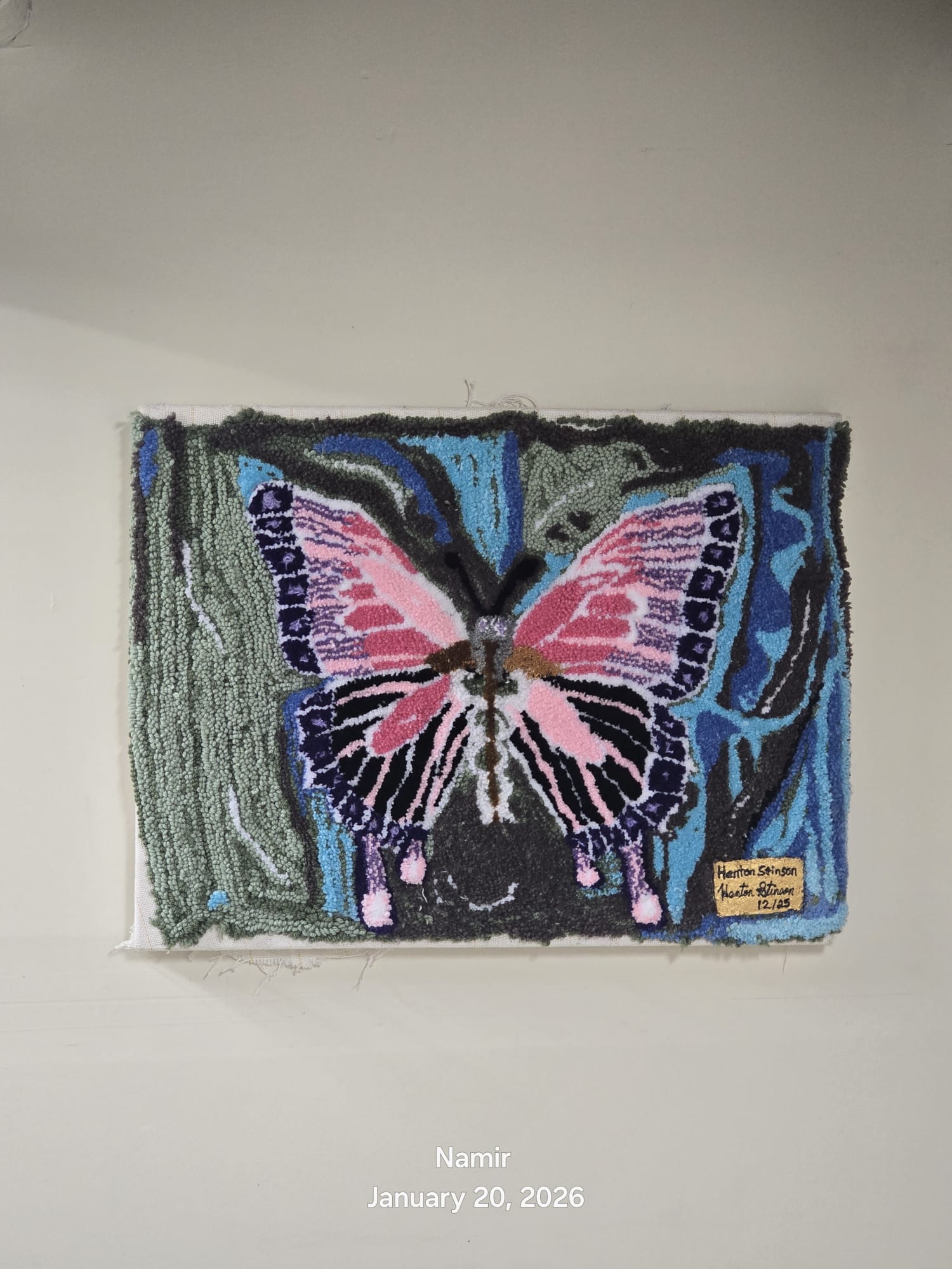 Beauty Under Pressure — Tufted textile on woven backing cloth, 28 × 21.5 × 2 in, 2026 by Henton Stinson