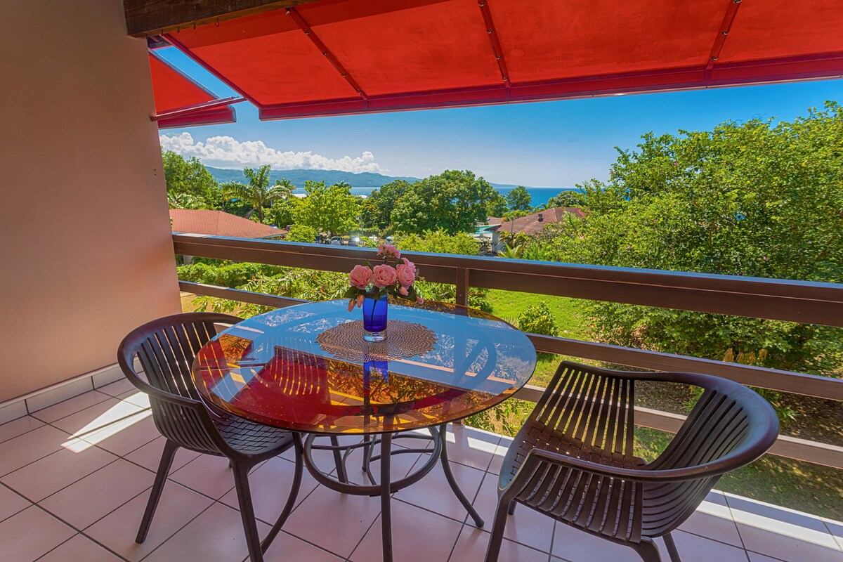 Open balcony — round glass table with two dark chairs, pink roses in blue vase, red awning, lush tropical garden, turquoise Caribbean Sea and mountains in the distance, bright blue sky