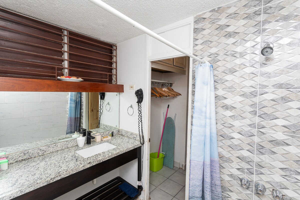 Bathroom — granite vanity with dark faucet, large mirror, hair dryer, diamond-pattern tile shower, closet with hangers
