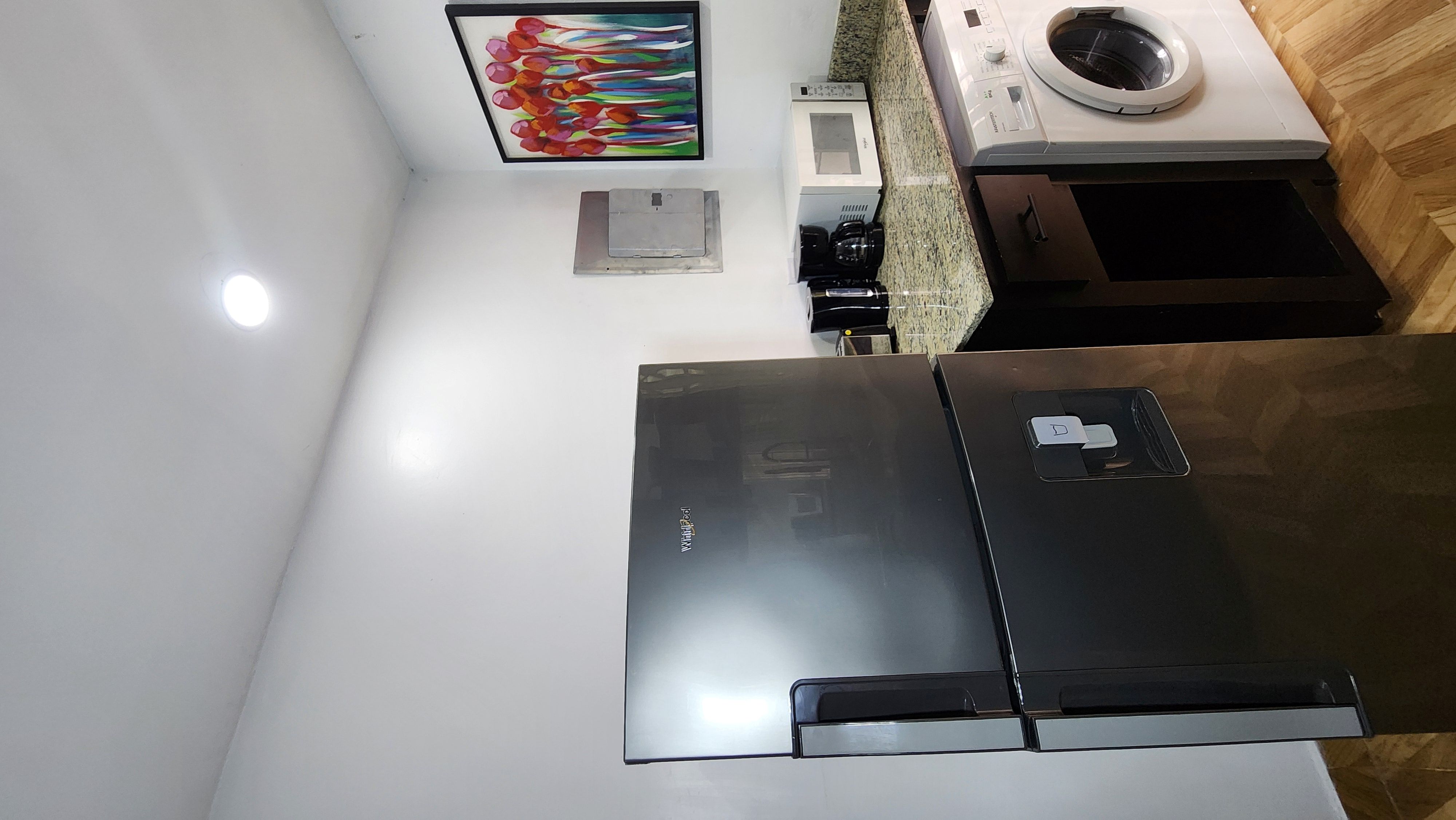 MG6 kitchen — stainless French door fridge, washer, microwave, coffee maker, granite counter, Jamaican floral artwork