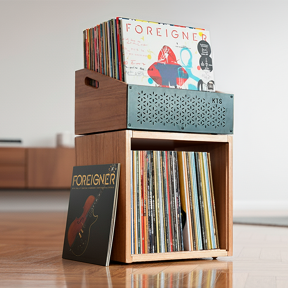 Vinyl-Sammlung mit Keep Them Spinning modularem Storage