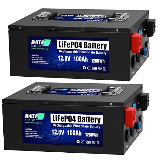 Batteries 2 BATELITHIUM 12V 100Ah Battery 2-Pack