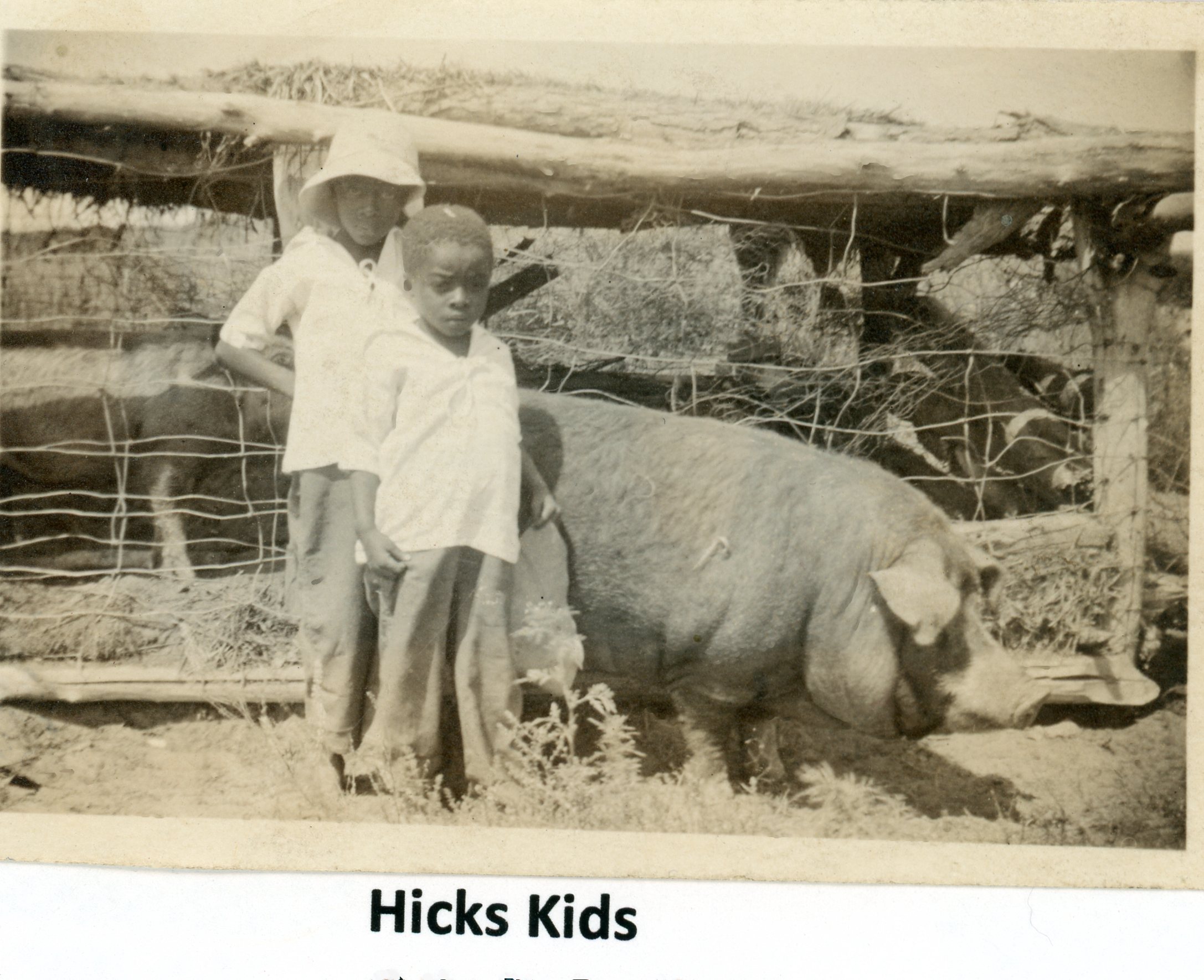 Hicks children at the farm pig pen