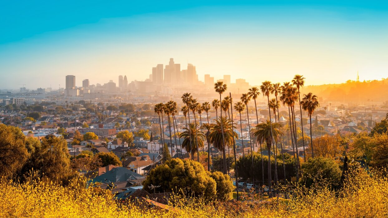 Los Angeles skyline with palm trees at sunset